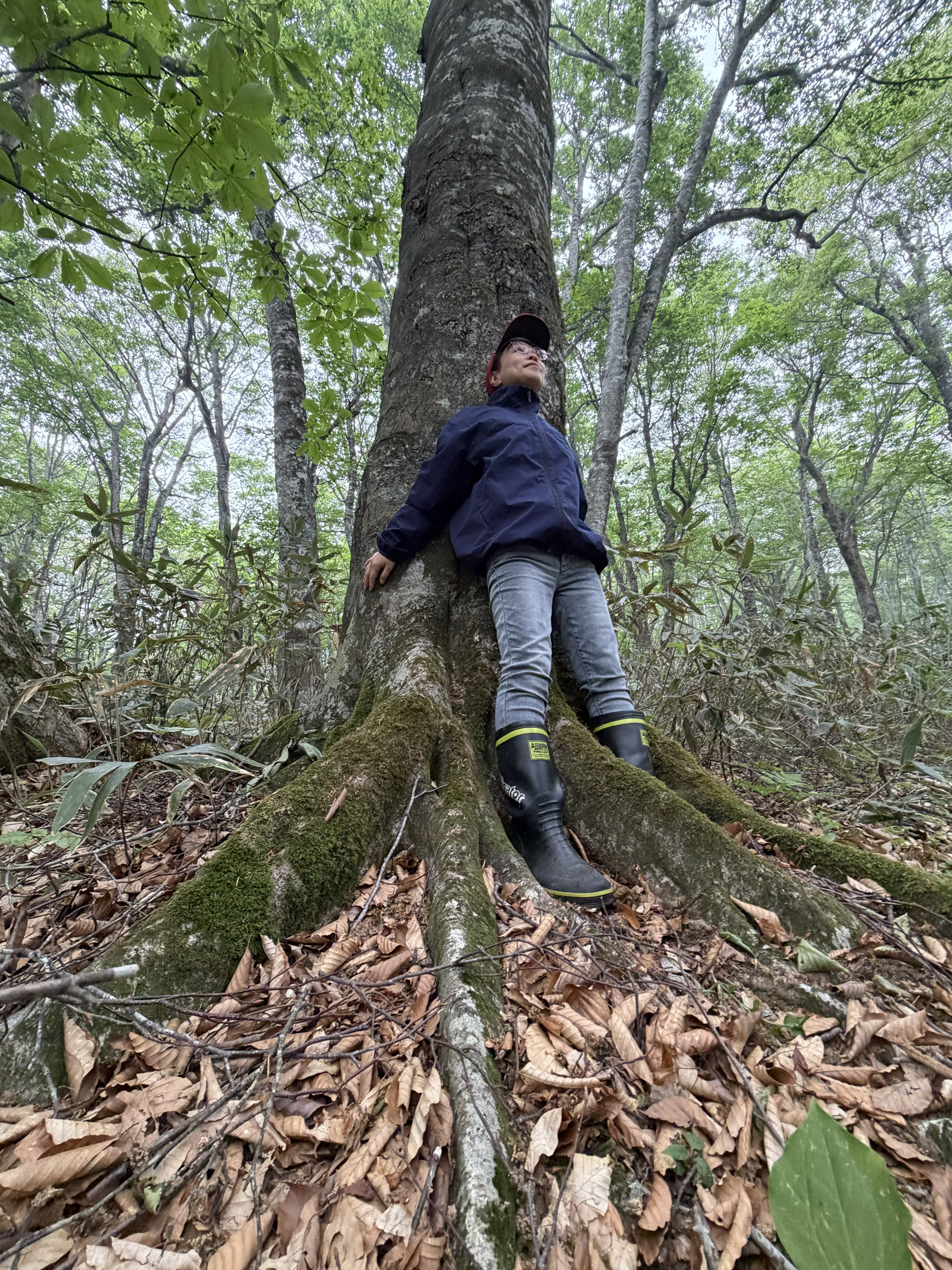 大木に背中を預ける